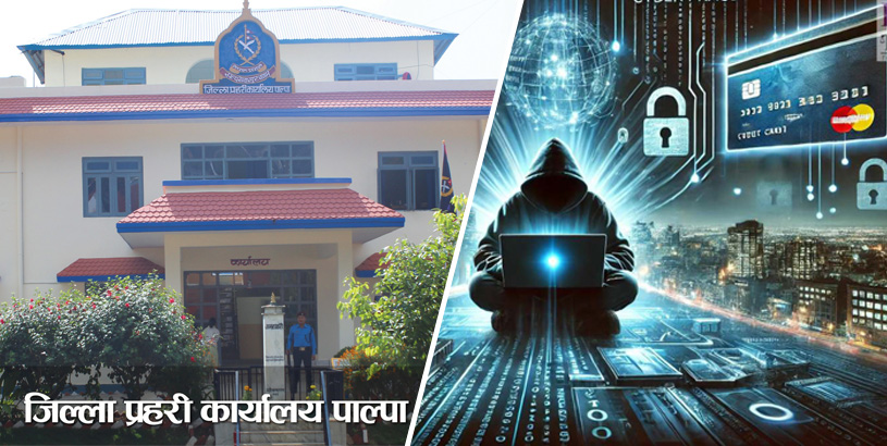 पाल्पामा पछिल्लो दश महिनामा ५३ वटा साईबर अपराध उजुरी